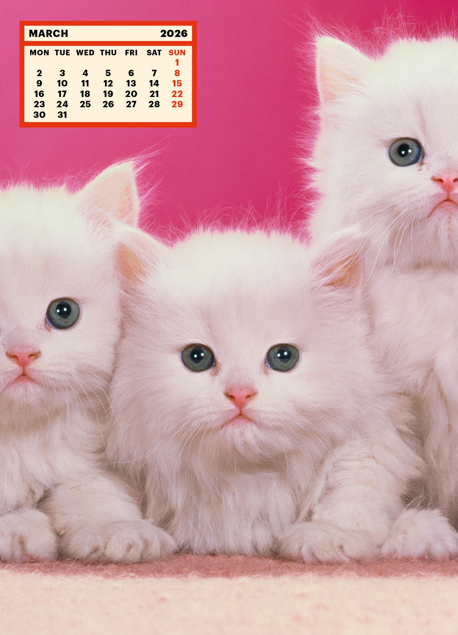 ToiletWalter PaperChandoha Calendar 2026