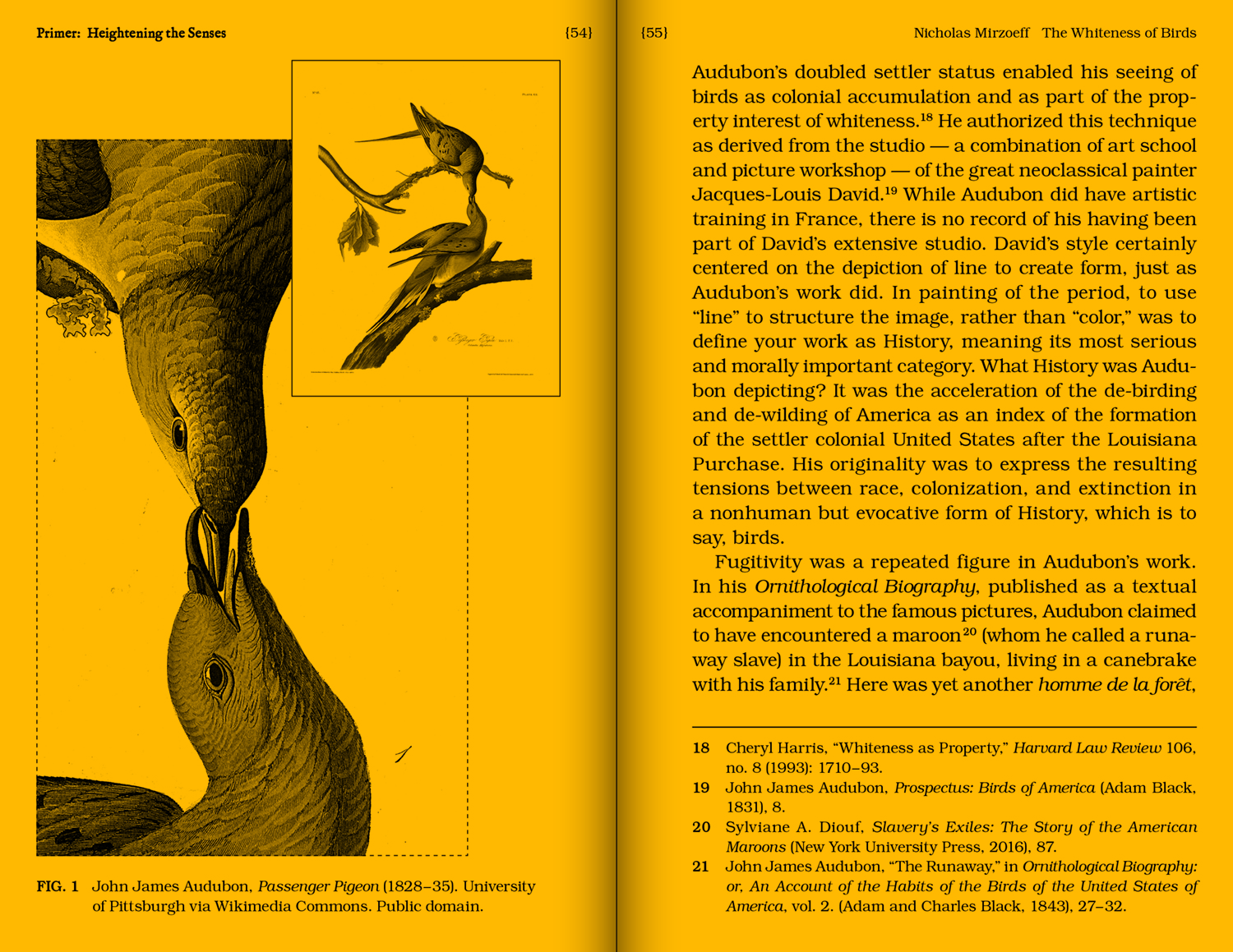 With a Bird: A Reader on Avian Kinship