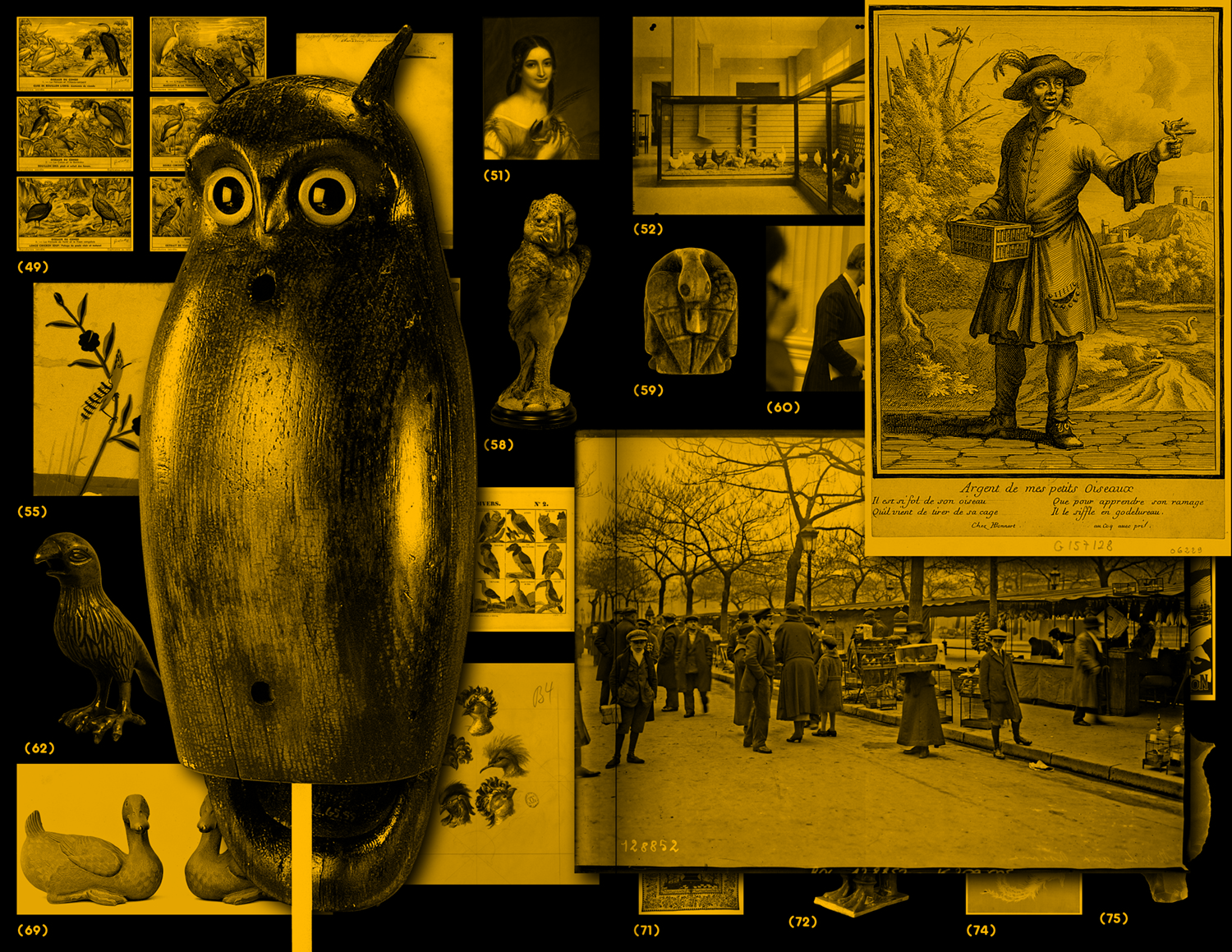 With a Bird: A Reader on Avian Kinship