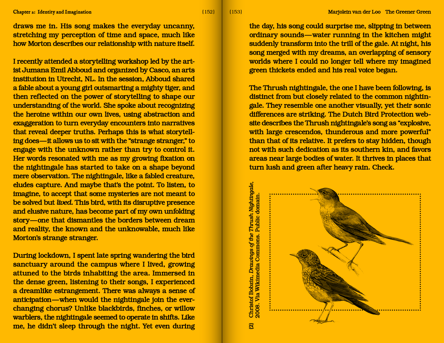 With a Bird: A Reader on Avian Kinship