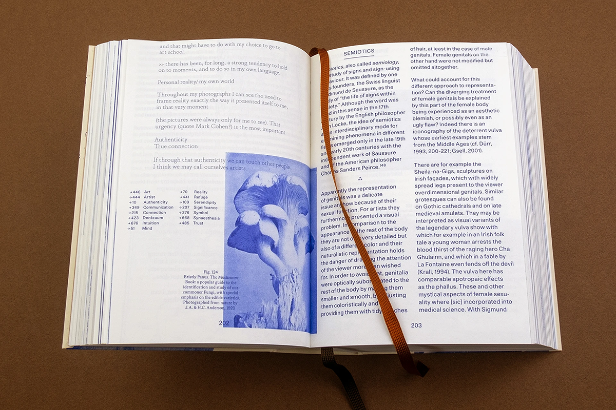 Anna Puschel: Encyclopedia of the Uncertain