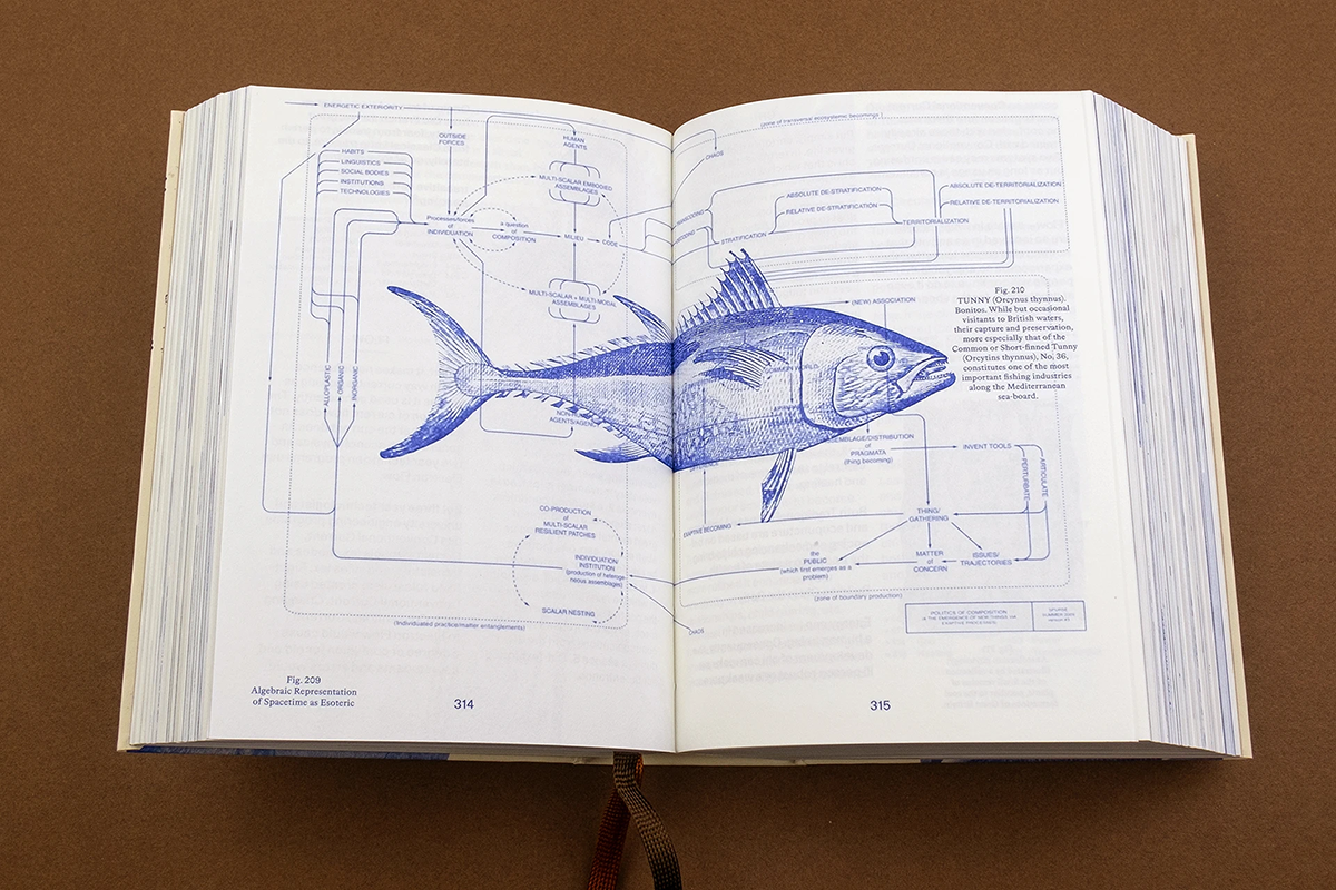 Anna Puschel: Encyclopedia of the Uncertain