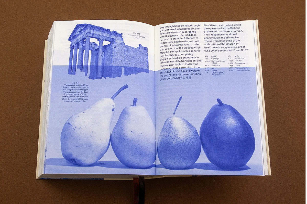 Anna Puschel: Encyclopedia of the Uncertain