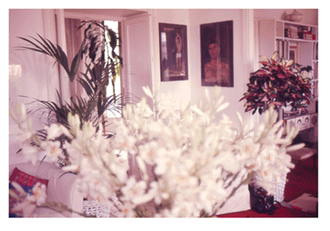 George Tourkovasilis: Strange Switch. Spent. The Night, Sleep.