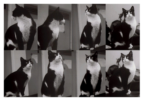 George Tourkovasilis: Strange Switch. Spent. The Night, Sleep.