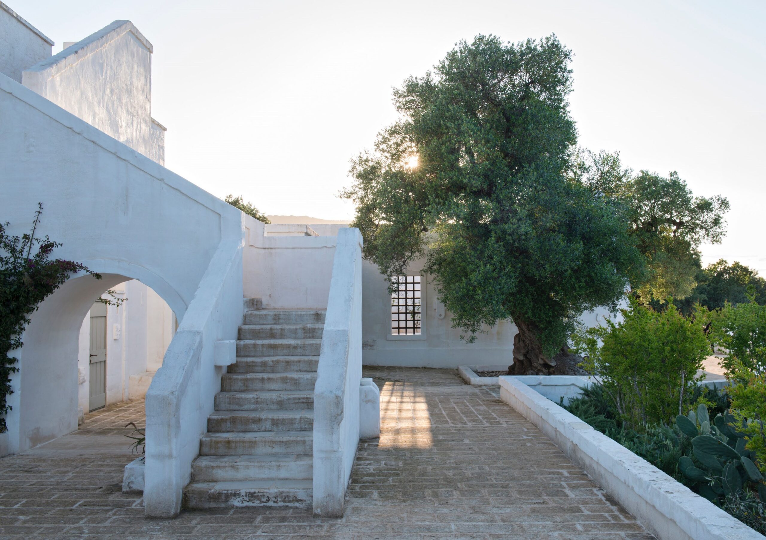 Mediterranean Living: Varied residences immerse readers in the diverse architectural and decorative styles of Southern Europe