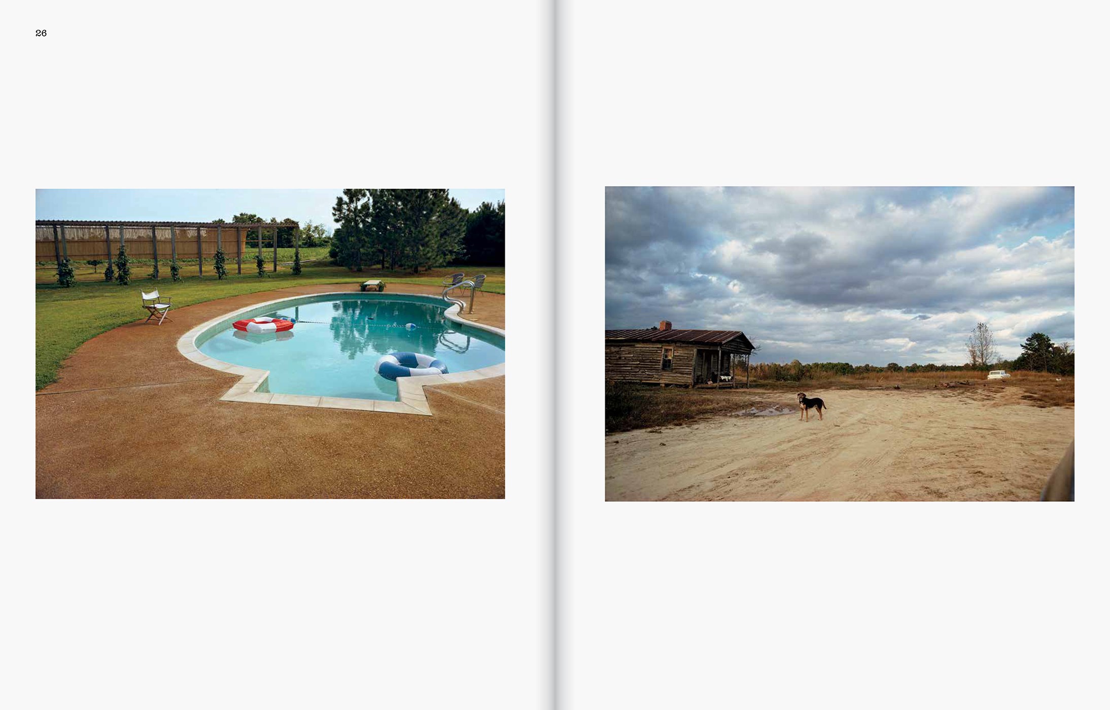 William Eggleston: The Last Dyes