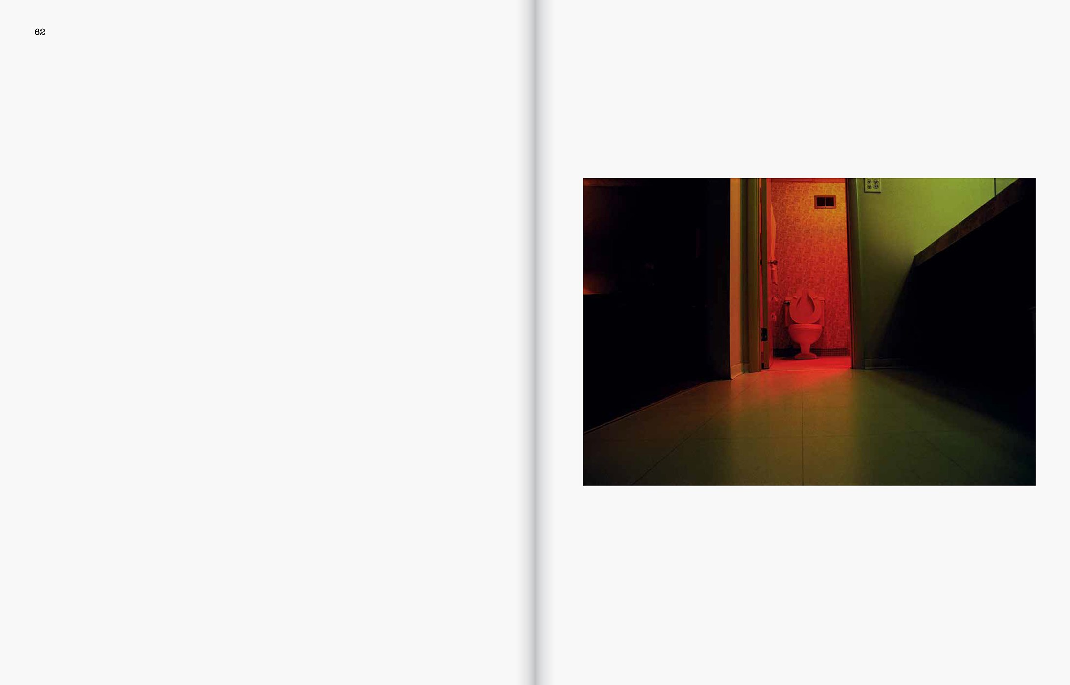 William Eggleston: The Last Dyes