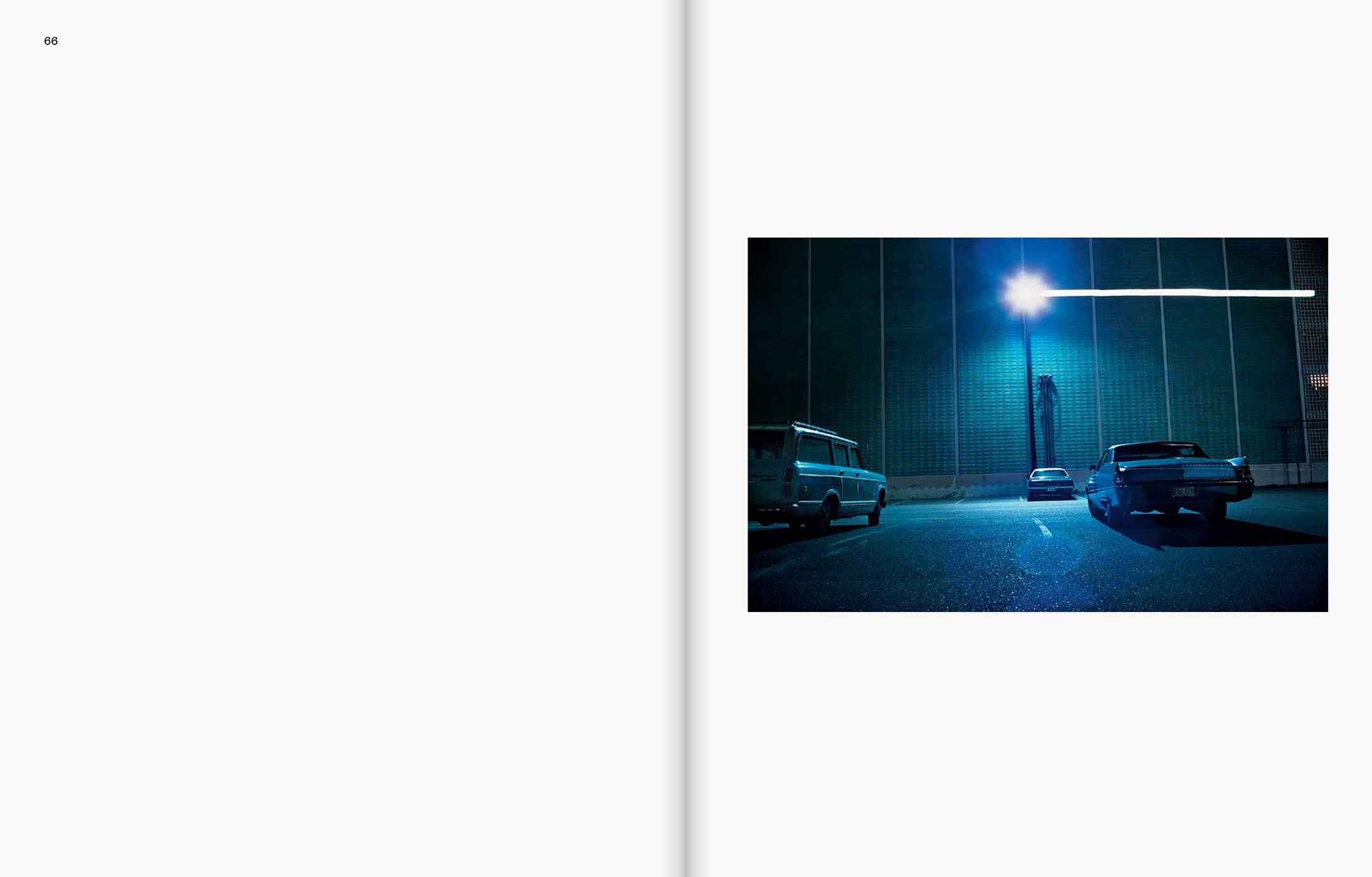 William Eggleston: The Last Dyes