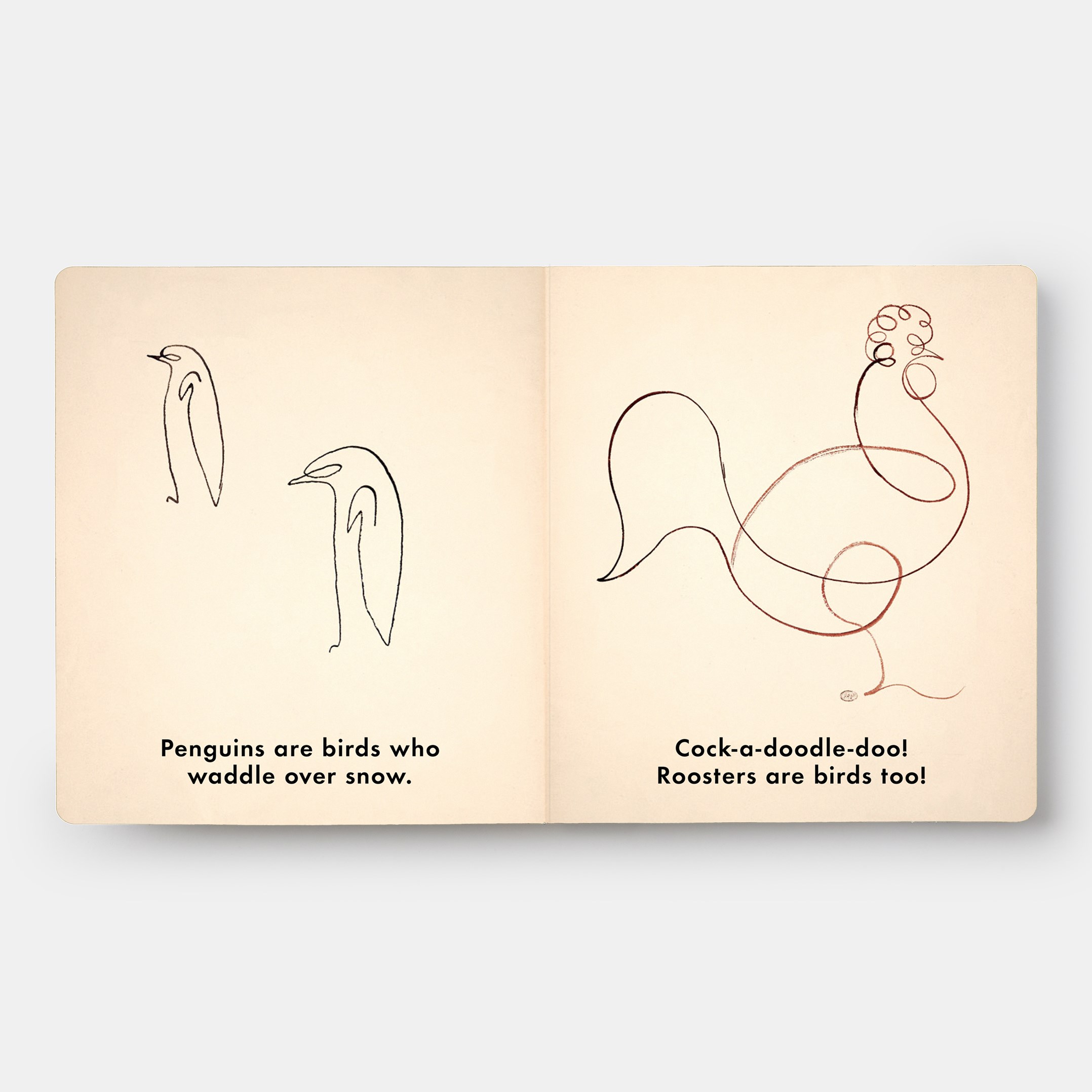 Birds & Other Animals: with Pablo Picasso