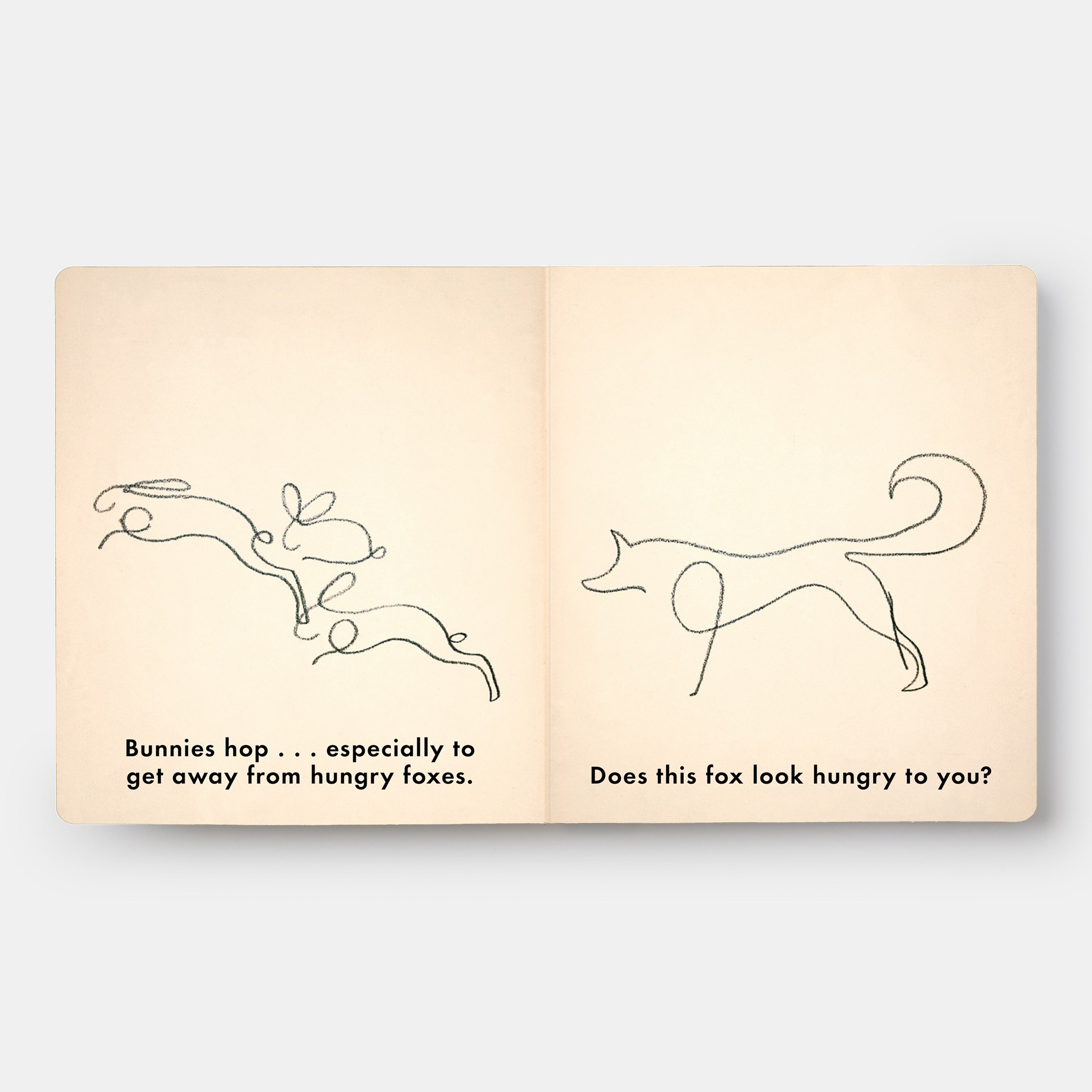 Birds & Other Animals: with Pablo Picasso