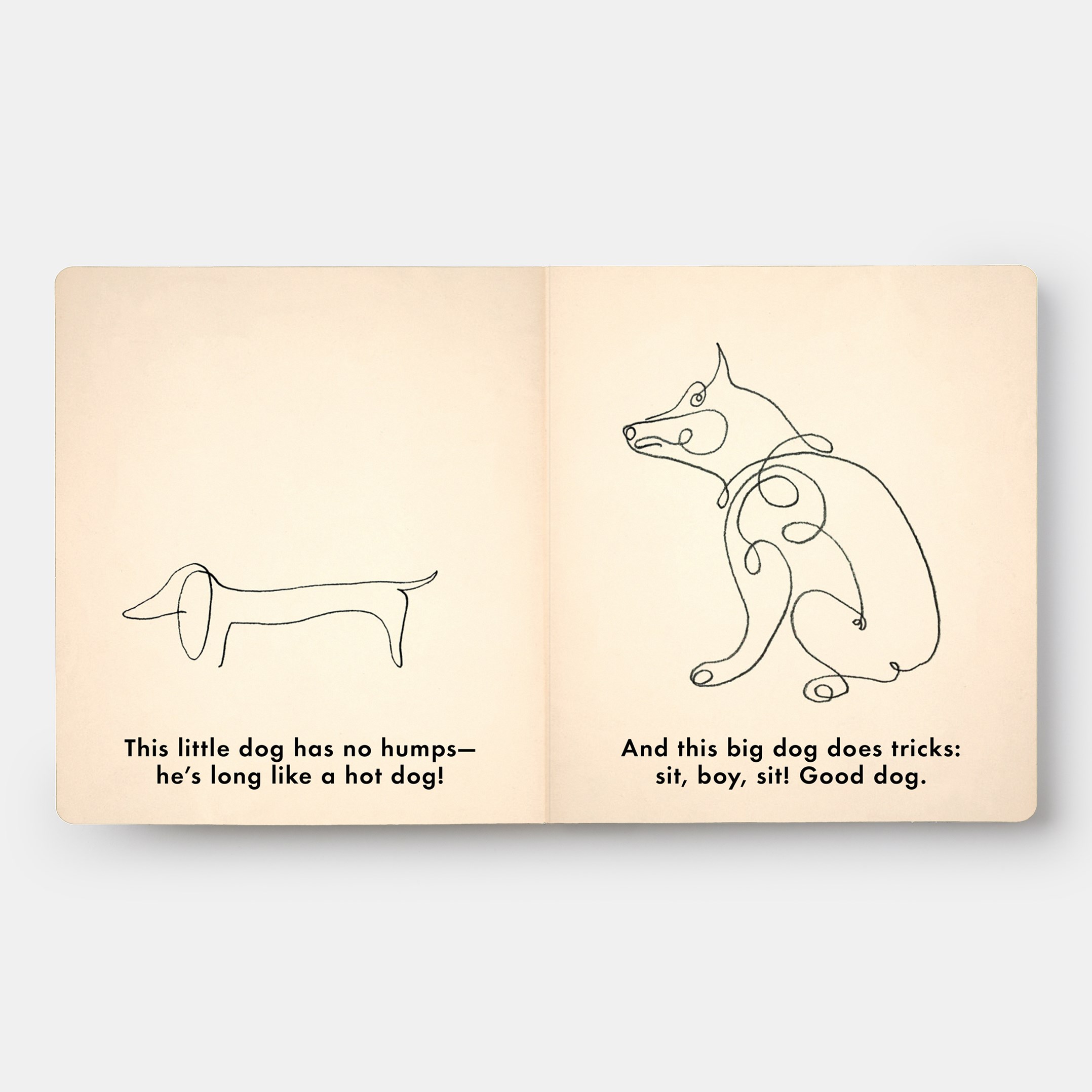 Birds & Other Animals: with Pablo Picasso