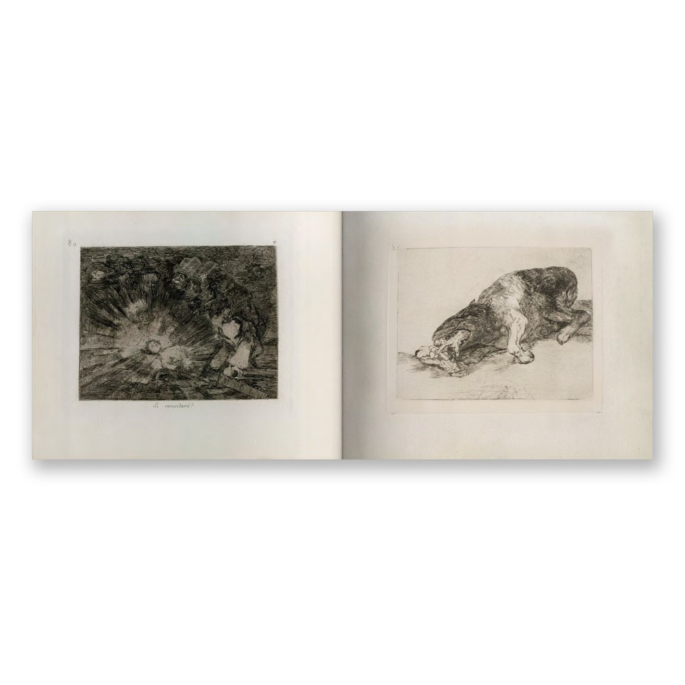 Goya: The Disasters of War