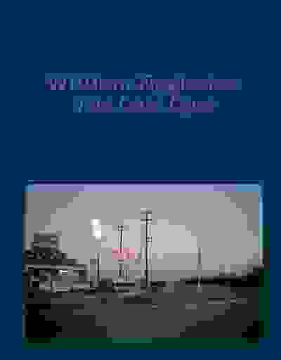 William Eggleston: The Last Dyes