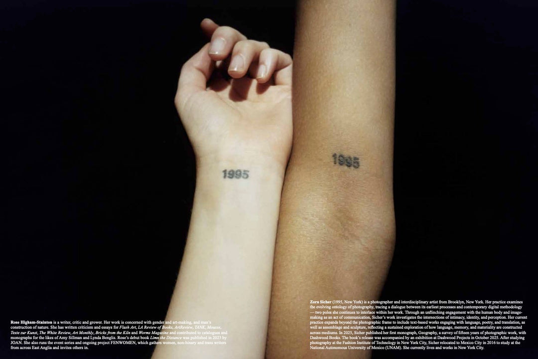 Flash Art #353: Τhe Ζ Ιssue