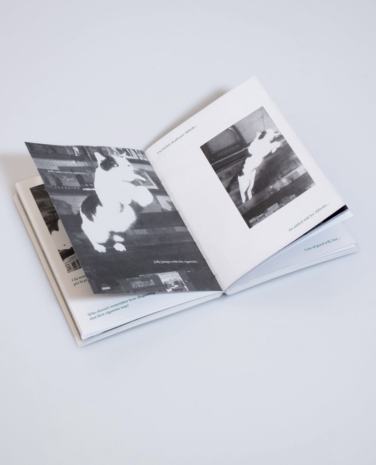 Jolly: Il gatto che fuma – Jolly: The Smoking Cat