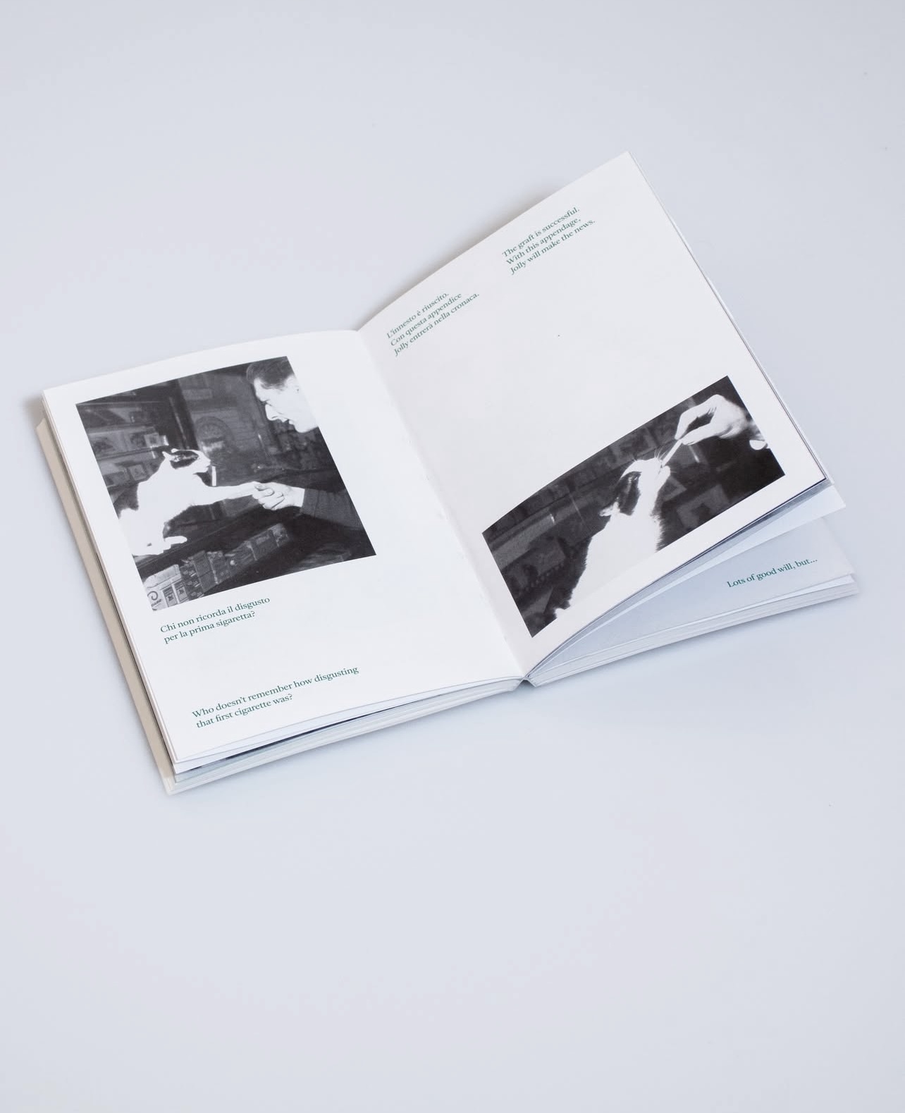 Jolly: Il gatto che fuma – Jolly: The Smoking Cat