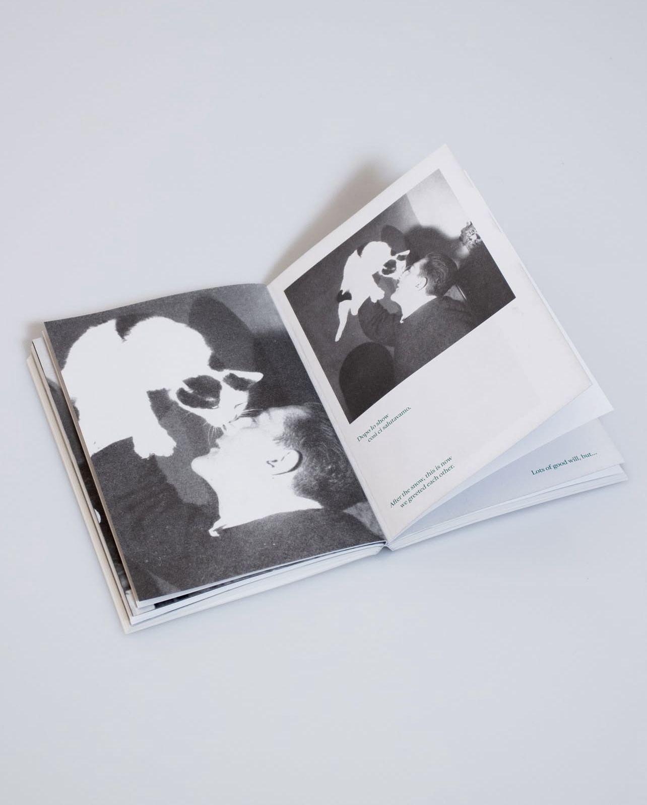 Jolly: Il gatto che fuma – Jolly: The Smoking Cat