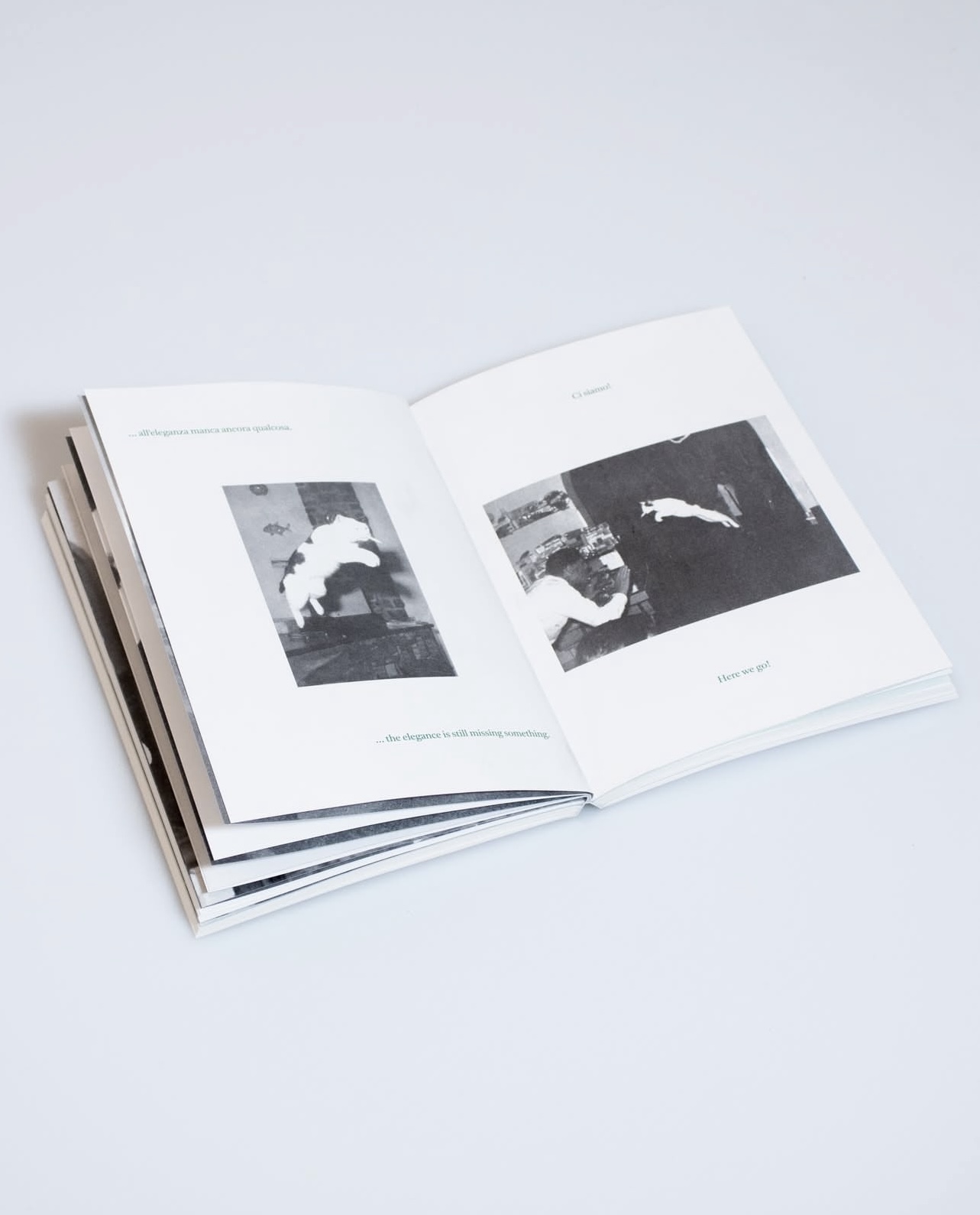 Jolly: Il gatto che fuma – Jolly: The Smoking Cat