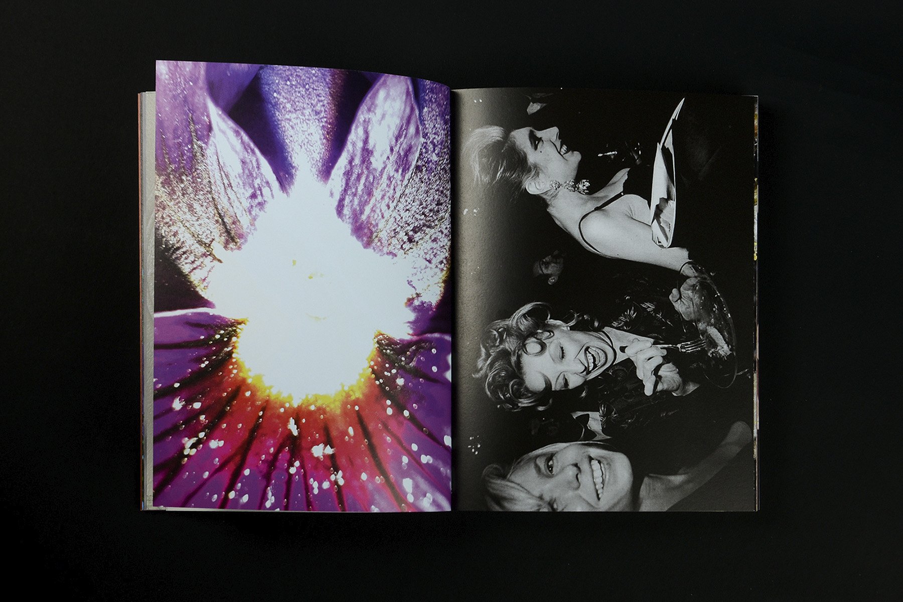 Jeff Mermelstein: What if Jeff were a butterfly?