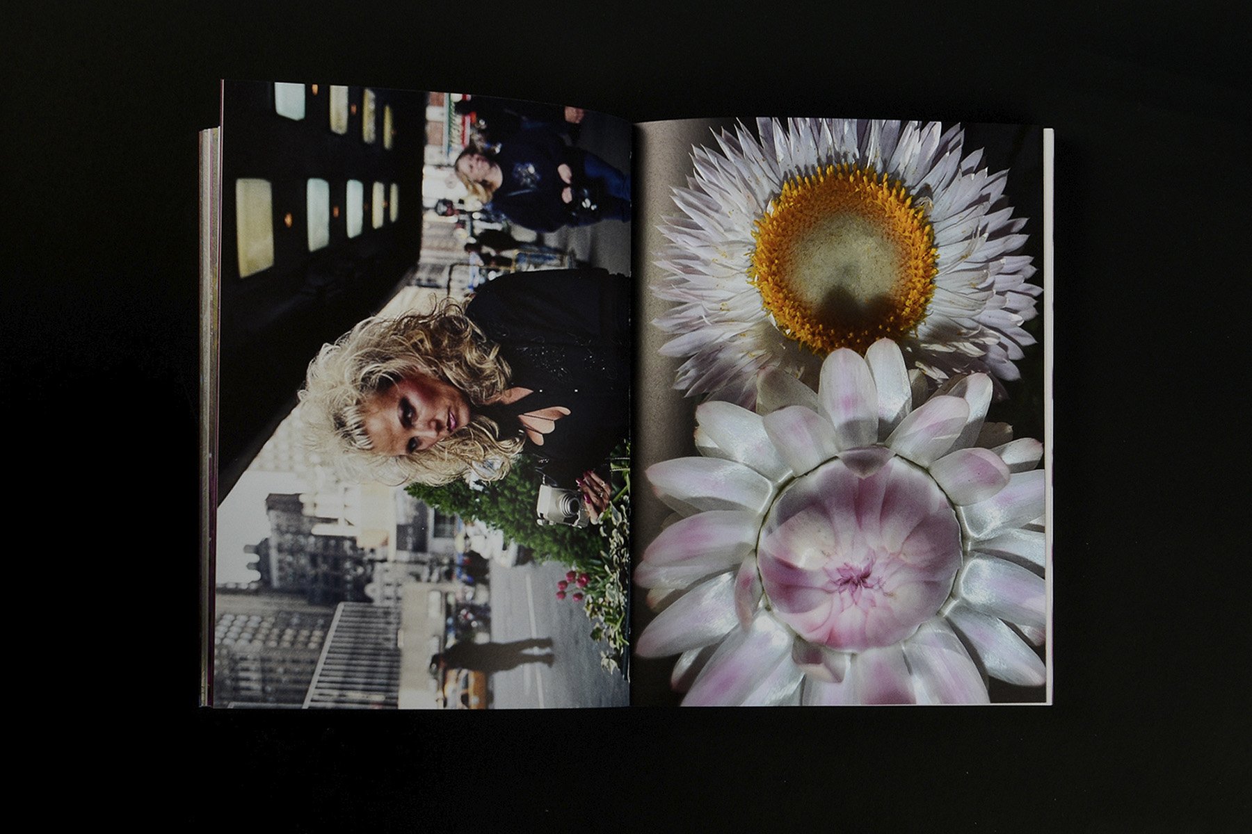 Jeff Mermelstein: What if Jeff were a butterfly?