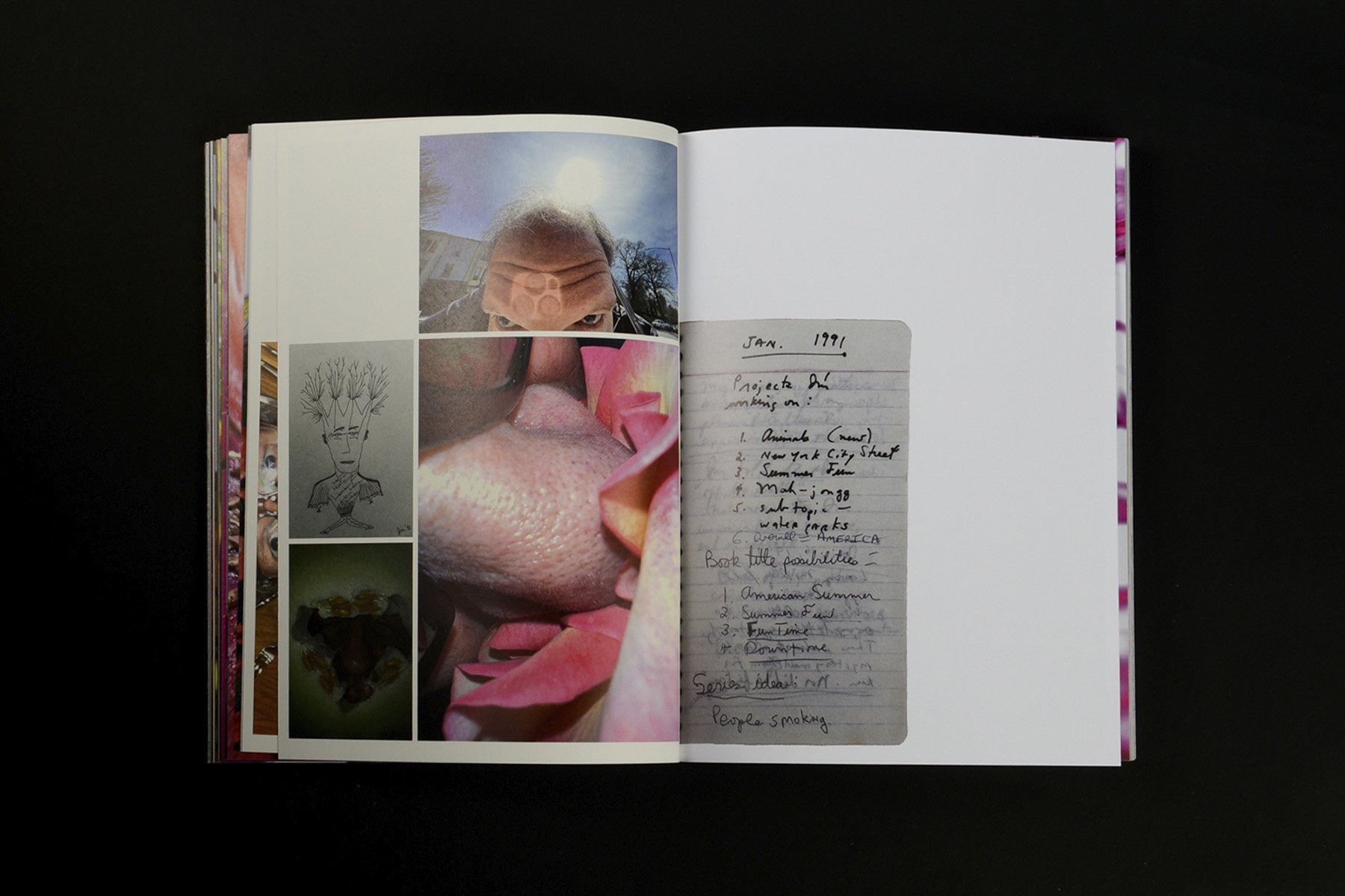 Jeff Mermelstein: What if Jeff were a butterfly?