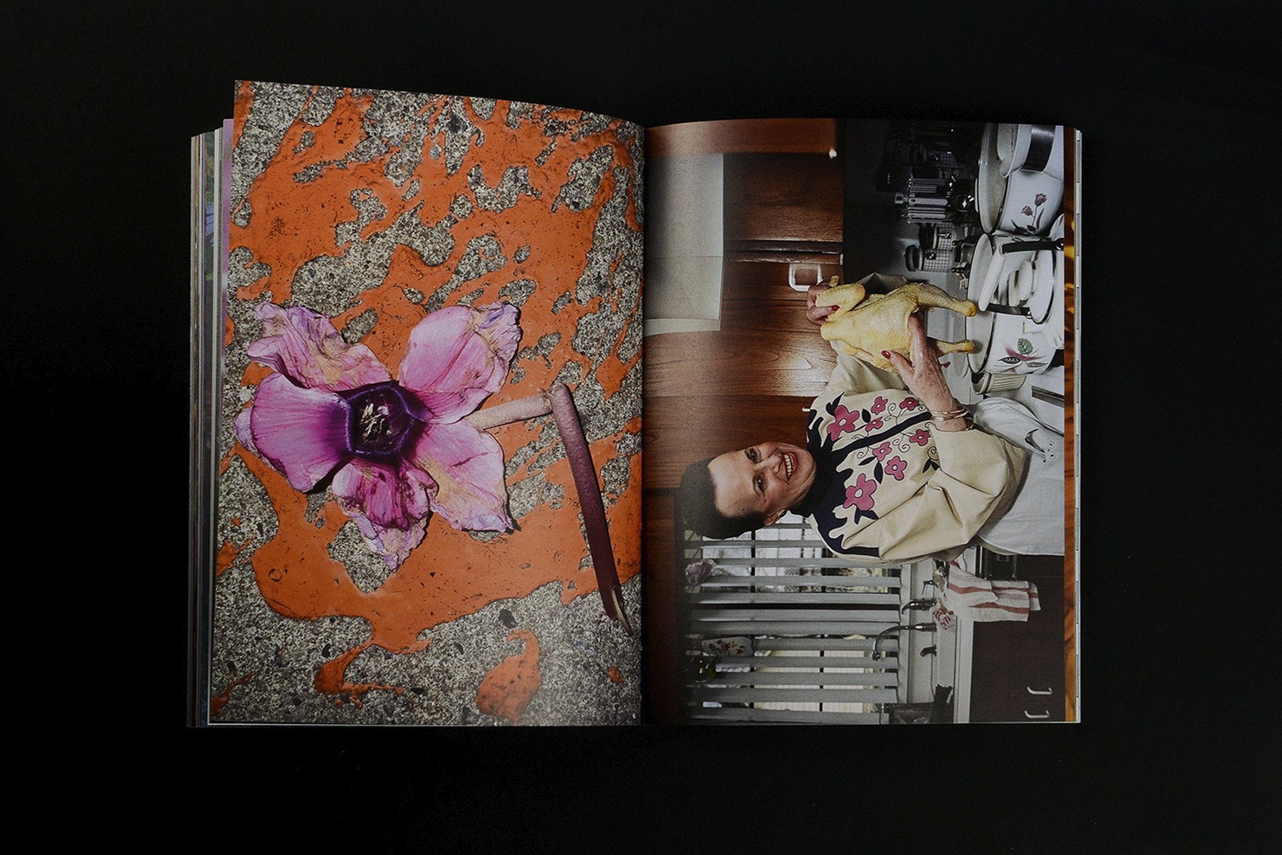 Jeff Mermelstein: What if Jeff were a butterfly?