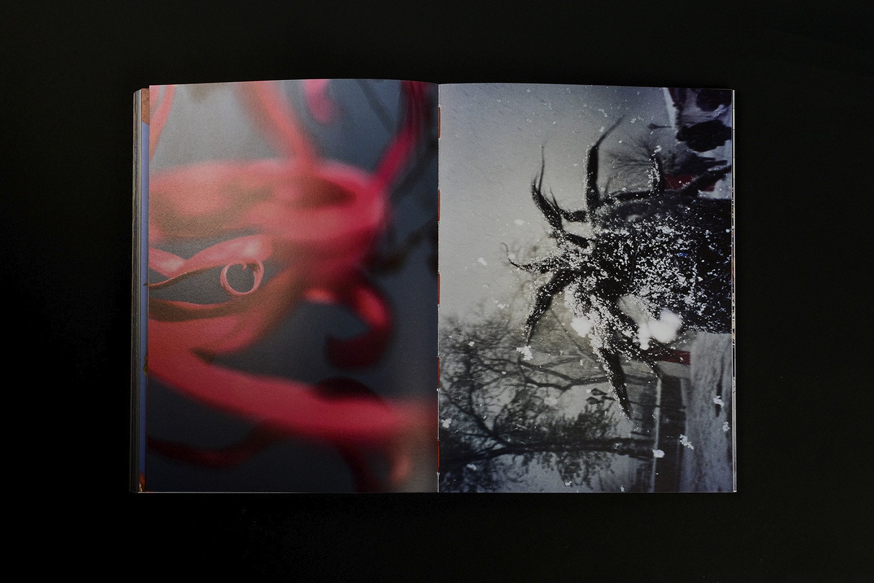 Jeff Mermelstein: What if Jeff were a butterfly?