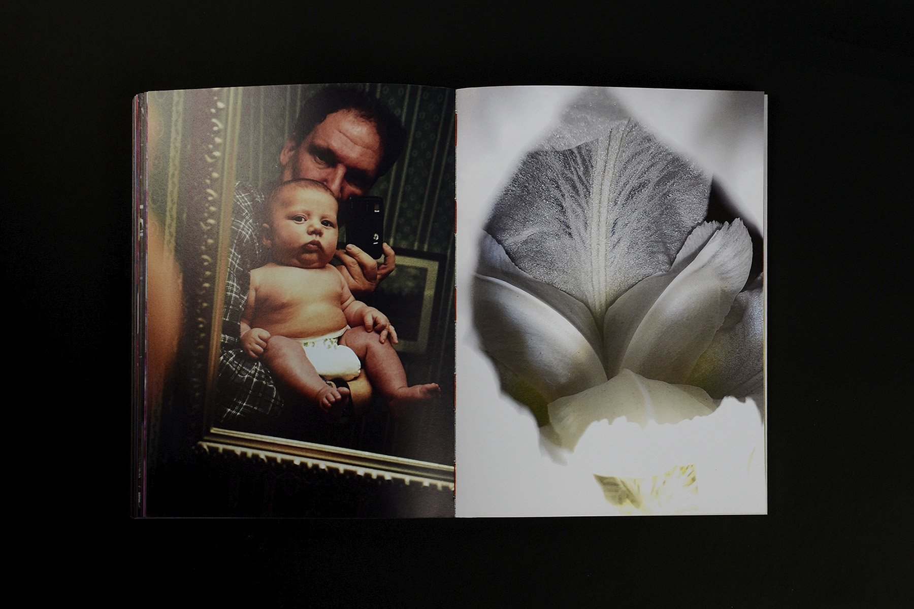 Jeff Mermelstein: What if Jeff were a butterfly?