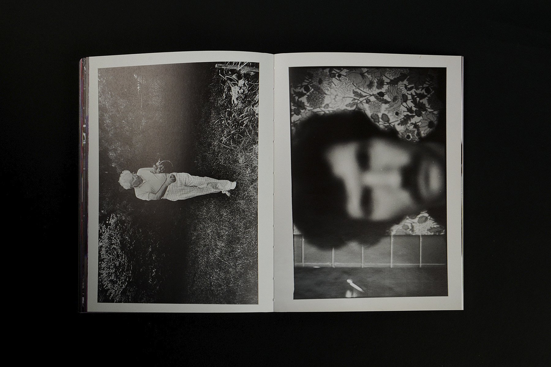 Jeff Mermelstein: What if Jeff were a butterfly?