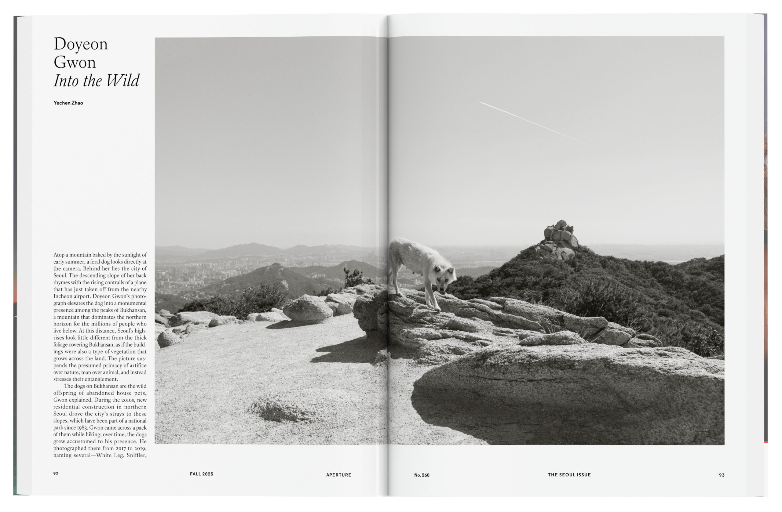 Aperture #260: The Seoul Issue