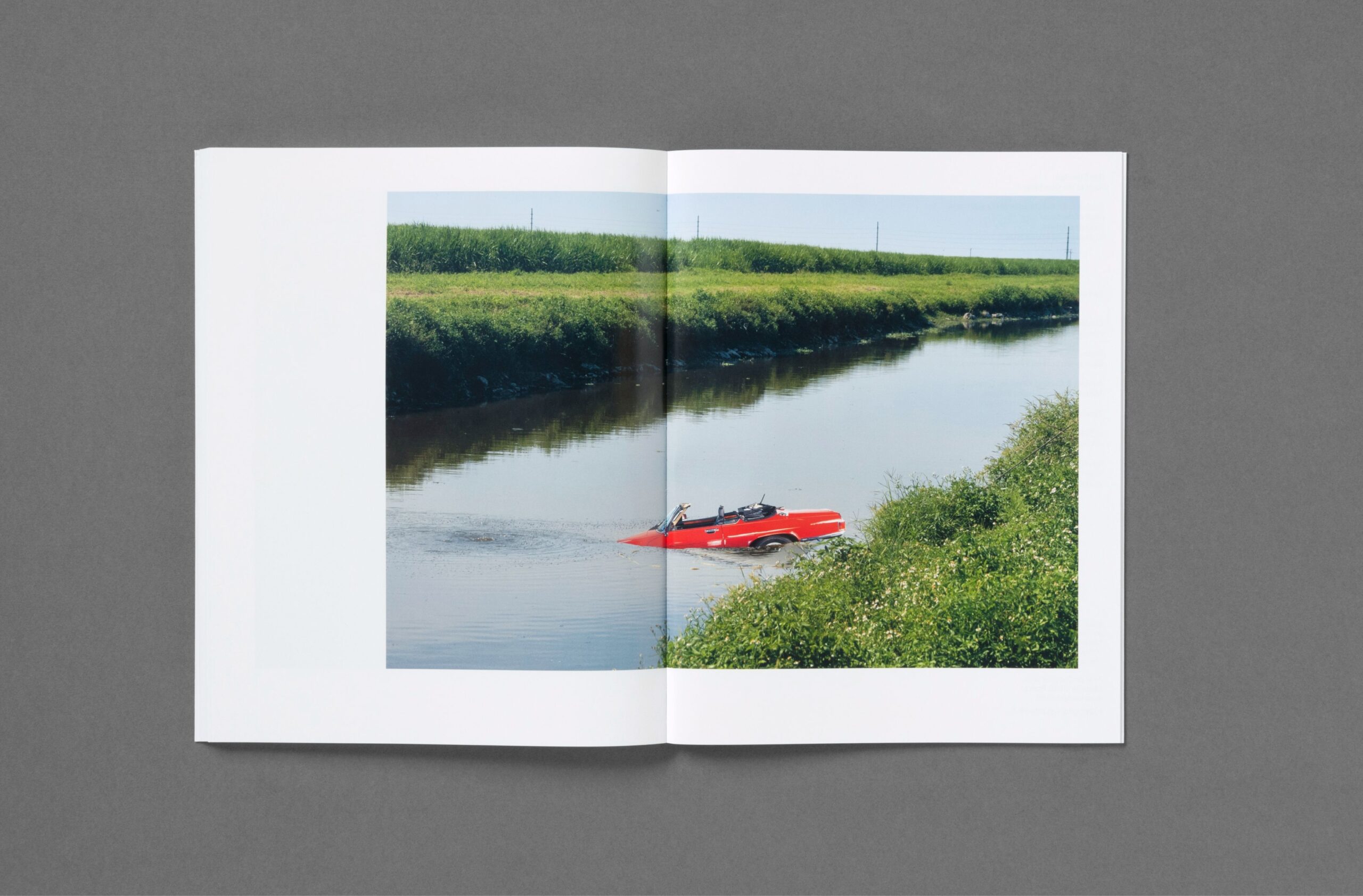 Roe Ethridge: Rude in the Good Way (Signed)