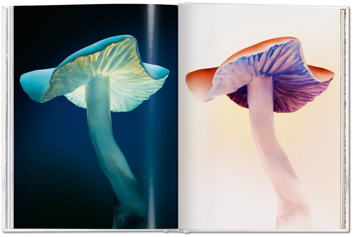 The Gourmand’s Mushroom: A Collection of Stories & Recipes