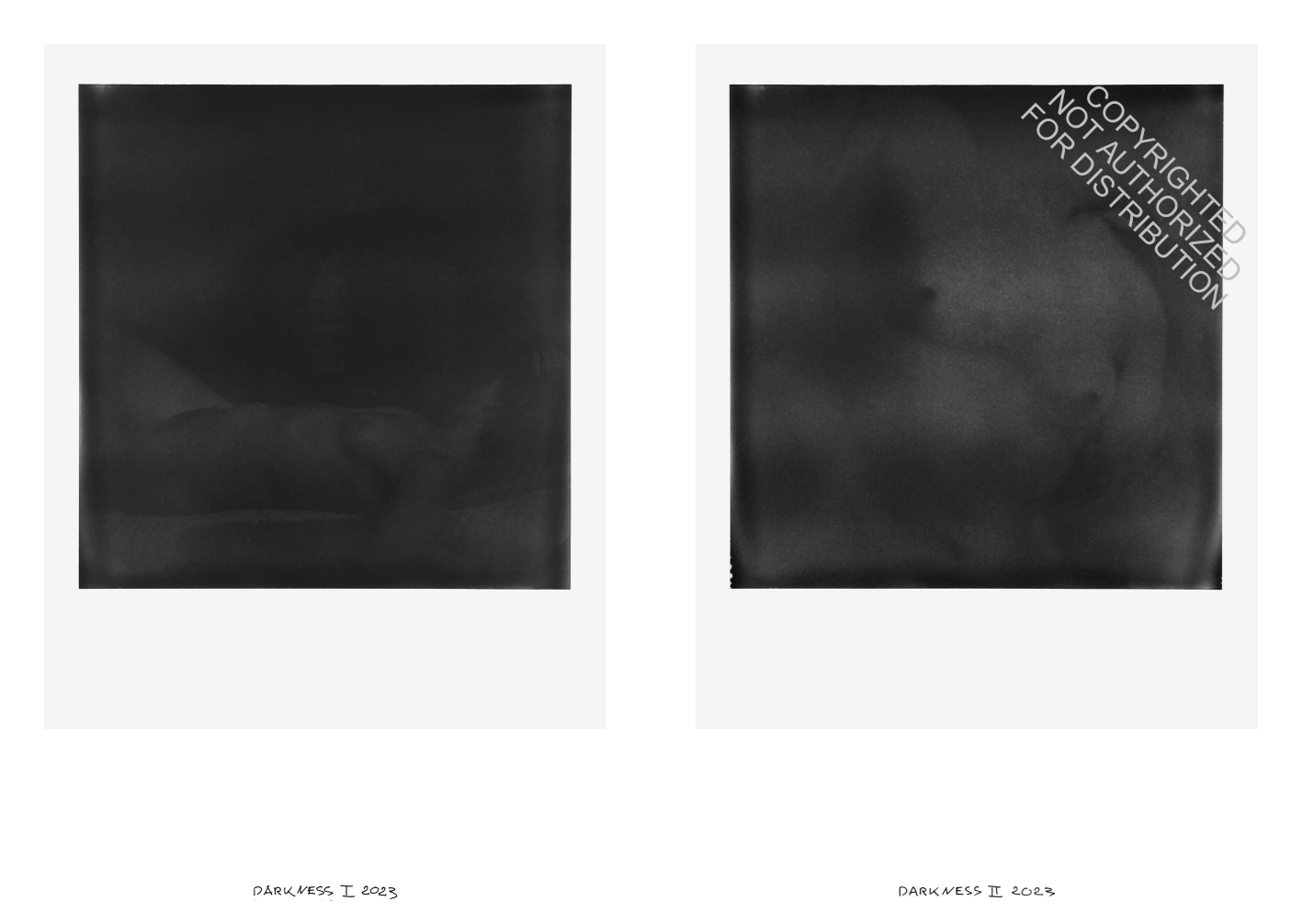 Francois Halard: Art & Flowers