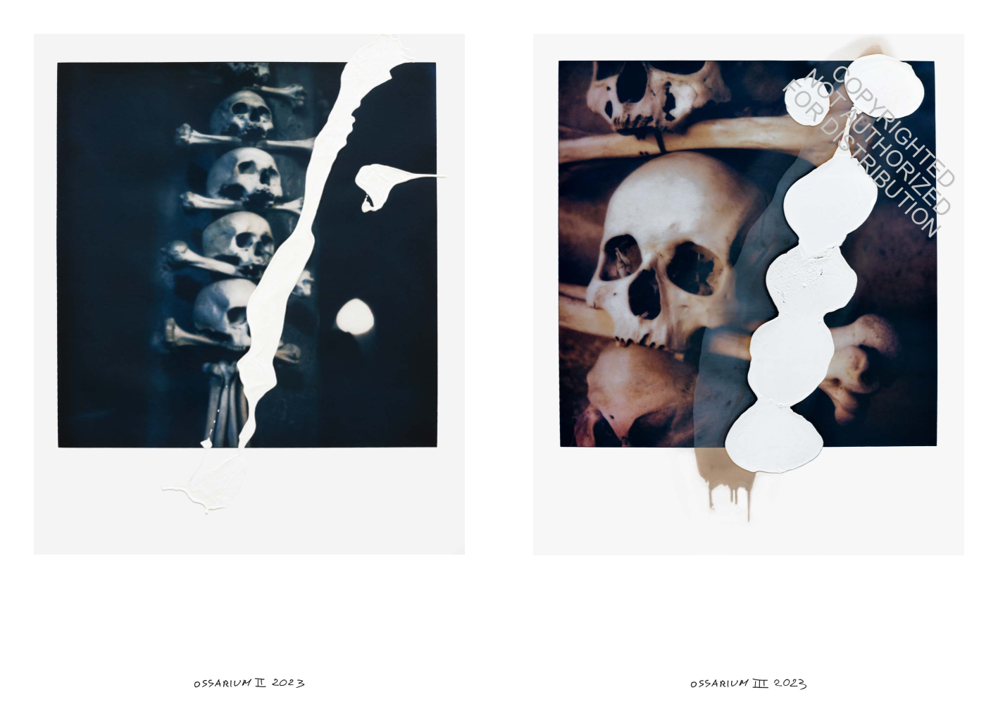 Francois Halard: Art & Flowers