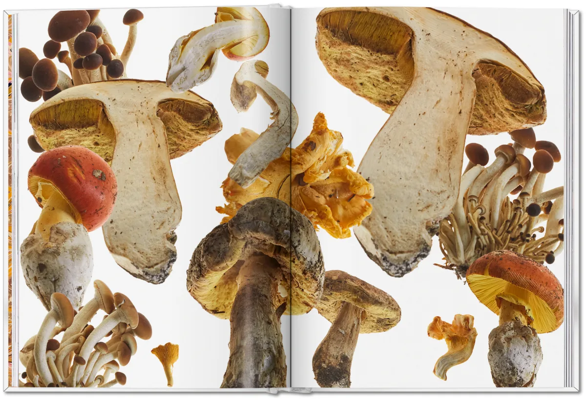 The Gourmand’s Mushroom: A Collection of Stories & Recipes