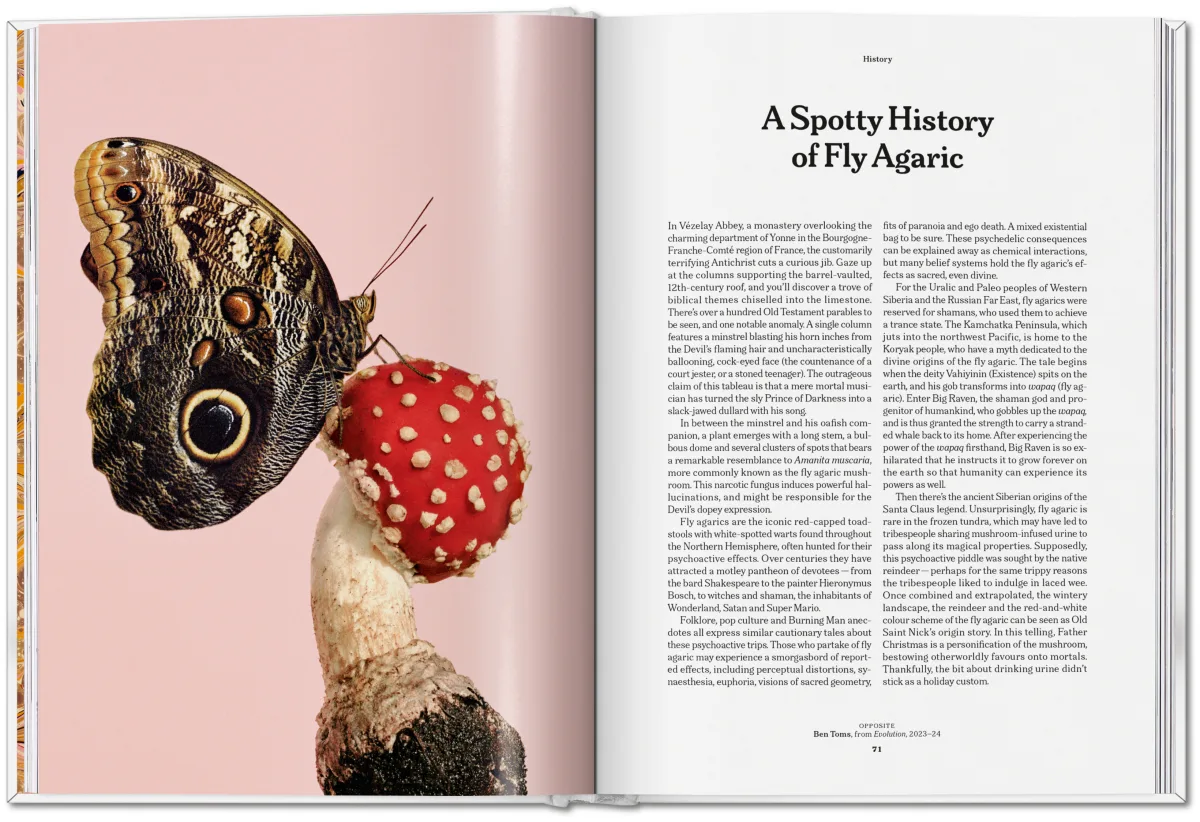 The Gourmand’s Mushroom: A Collection of Stories & Recipes