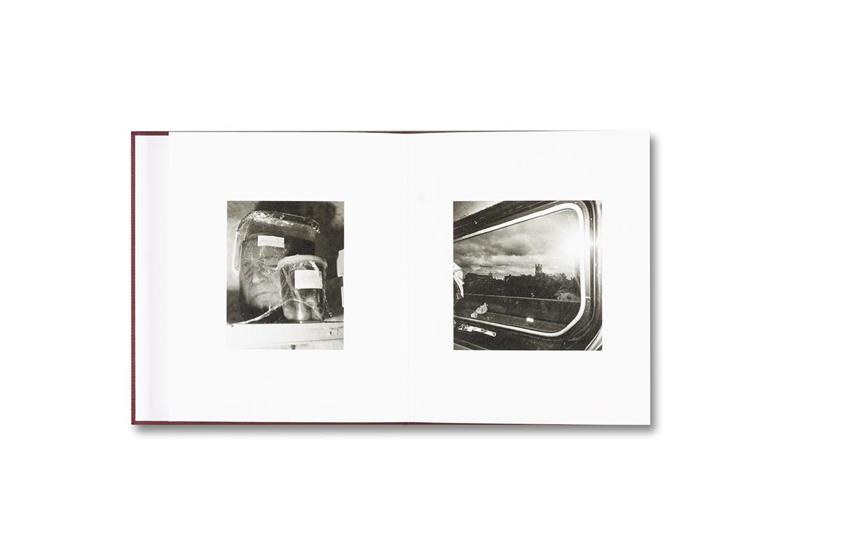 Yorgos Lanthimos: VISCIN