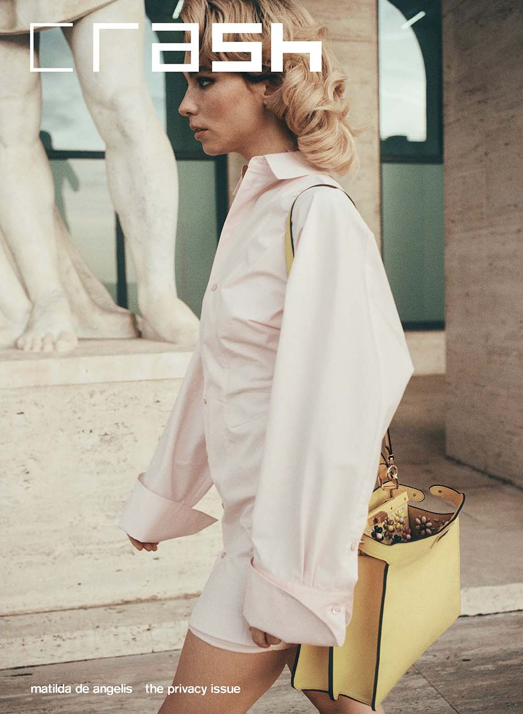 Crash #108: The Privacy Issue