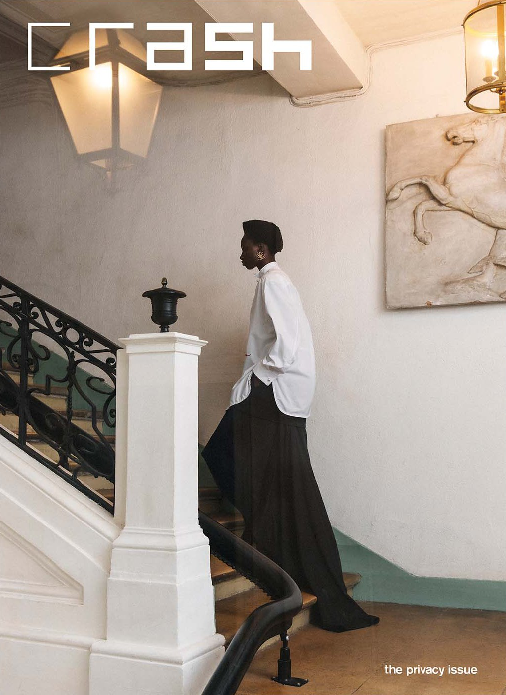 Crash #108: The Privacy Issue