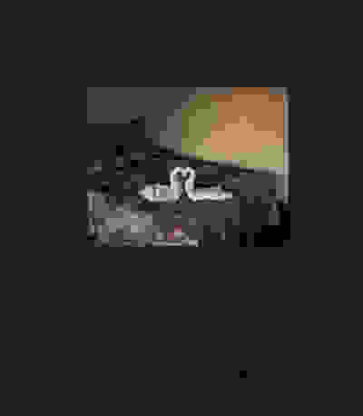 Alec Soth: Niagara (Signed)