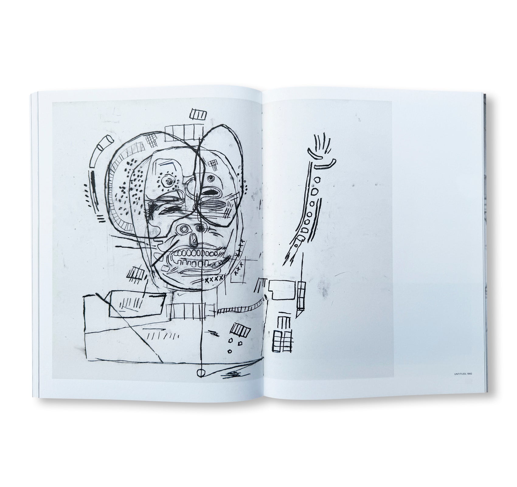 Basquiat: Headstrong
