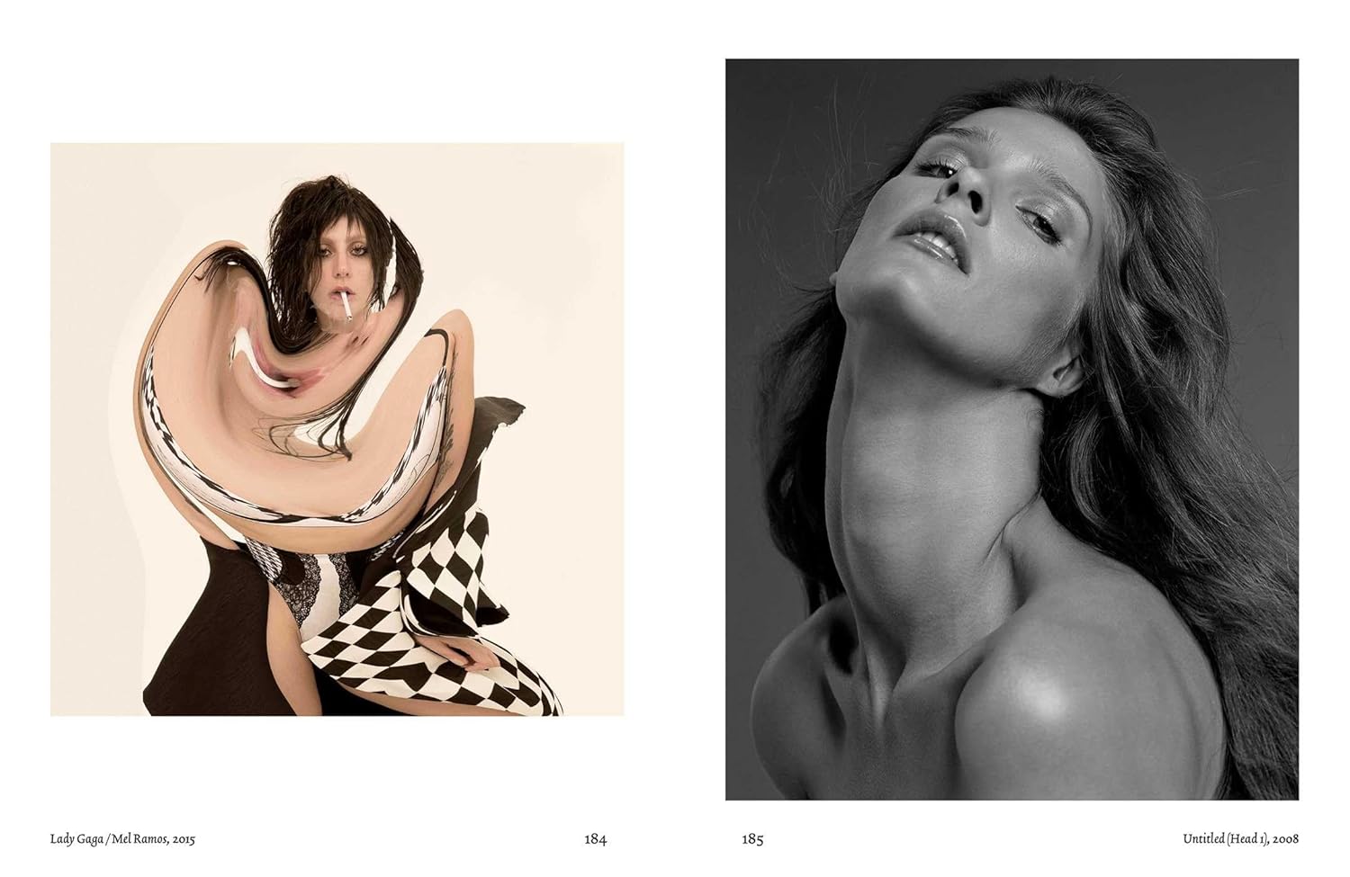 Can Love Be a Photograph: 40 Years of Inez & Vinoodh