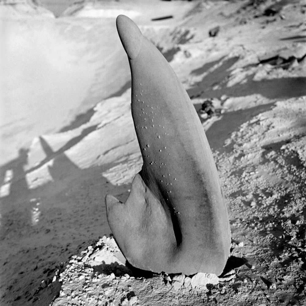 Charlotte Perriand: The Art of Dwelling