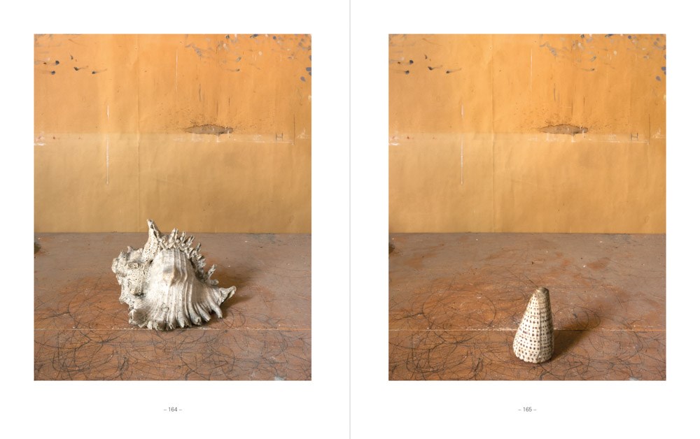 Joel Meyerowitz: Morandi’s Objects: The Complete Archive of Casa Morandi