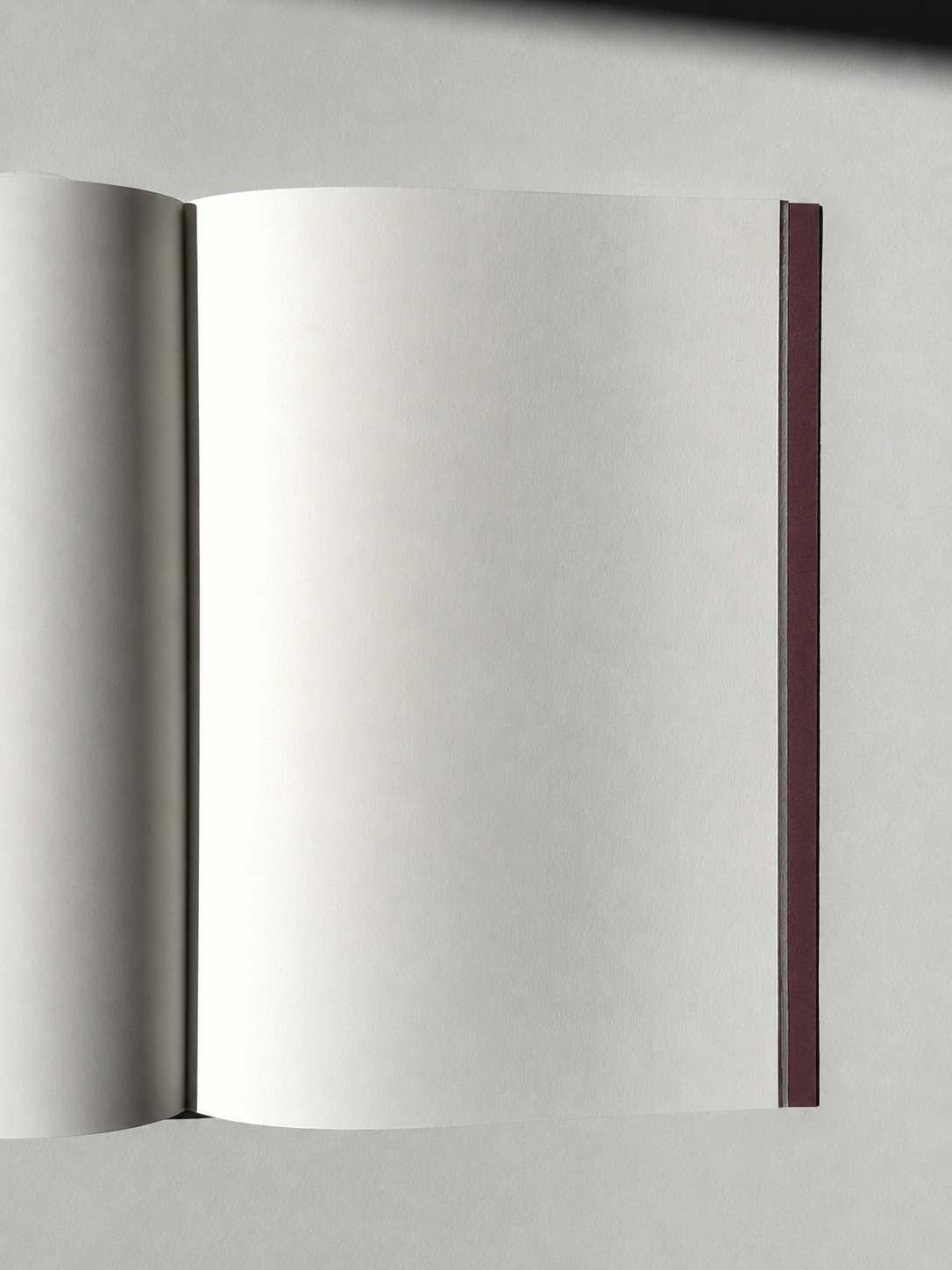 Apartamento Notebook Fig