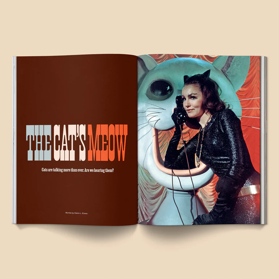 Catnip Magazine #2
