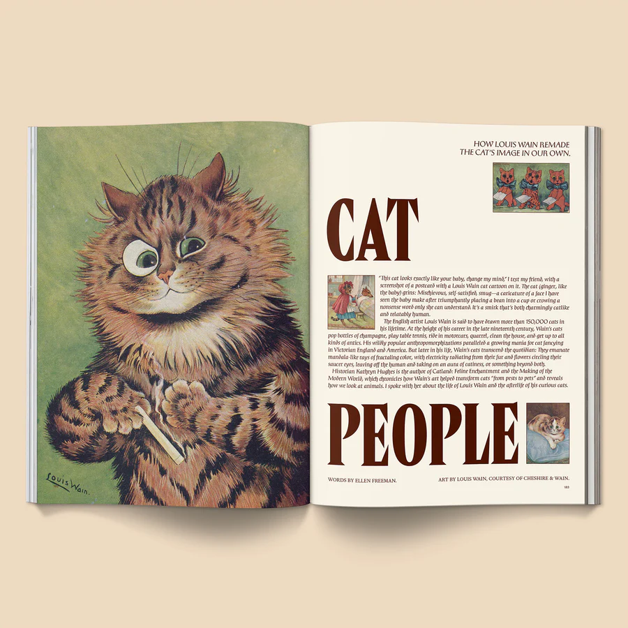 Catnip Magazine #2