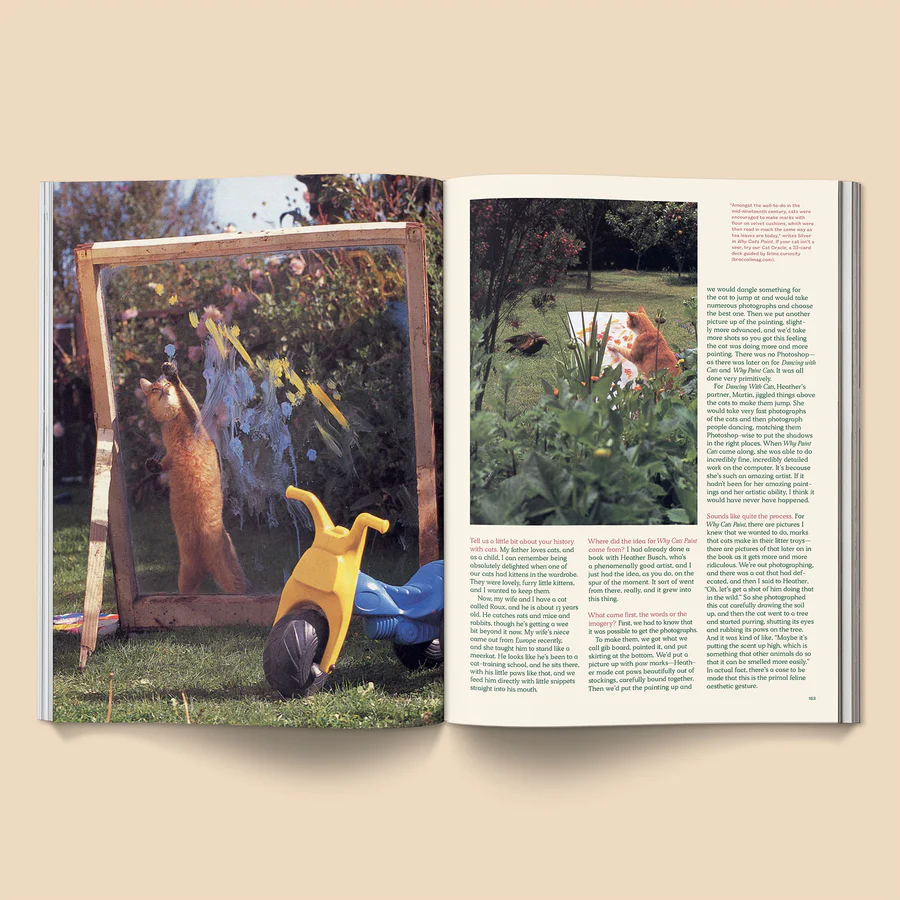 Catnip Magazine #2