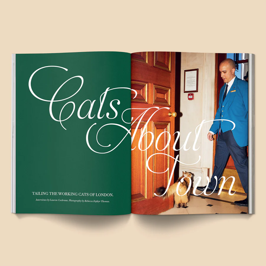 Catnip Magazine #2